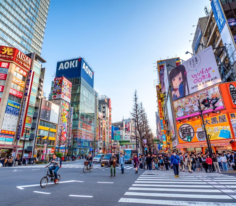 Japan Tours by Jano Tokyo